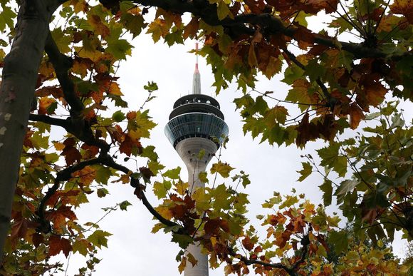 oppseh dusseldorfer fernsehturm im herbst 30338205 20231101110337