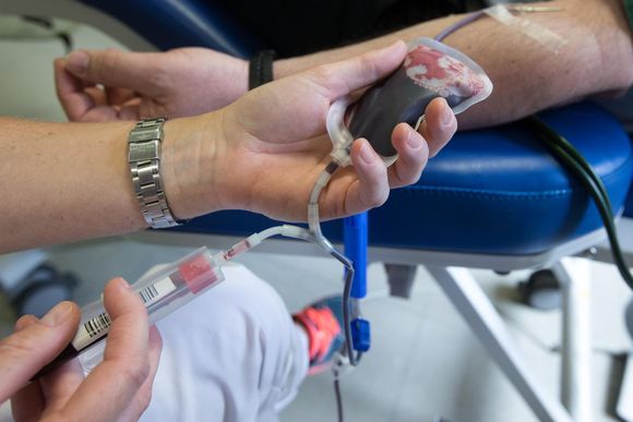 ri8dl4 just under 14000 people donated blood in luxembourg in 2021 but the average age of donors was 43 years 20240202162646