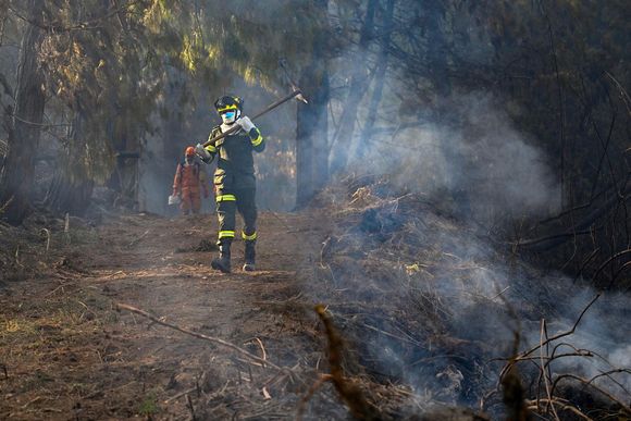 vcw04d colombia weather forest fire 30932190 20240125151451