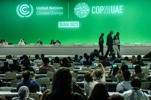 ptcv83 uae un climate cop28 30640702 20231213062955